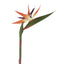 Bird of Paradise Stem 95cm - Pack of 12