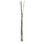 Bamboo twig Bundle 98cm Green