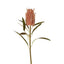 Dried Look Banksia Stem 56cm Dusty Pink - Pack of 12