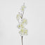 Cherry Blossom 83cm White - Pack of 12