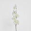 Cherry Blossom 83cm White - Pack of 12