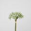 Baby Breath Bouquet 27cm Green & White - Pack of 12