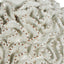 Brain Coral Ceramic Vase White