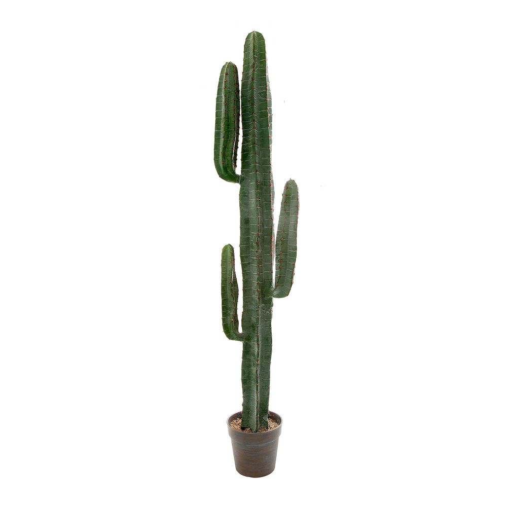 Artificial Desert Cactus 156cm - House of Isabella AU