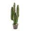 RETURNS STOCK -  BRAND NEW  - Artificial Desert Cactus 82cm