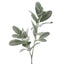 Flocked Lambs Ear leaf Spray 70cm Green