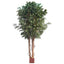 Artificial Ficus Retusa Giant x4 10440 Lvs 3.05M - House of Isabella AU