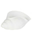 Conch Polyresin Shell White