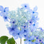 Lace cap Hydrangea Spray 70cm Blue