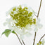 Lace cap Hydrangea Spray 70cm White