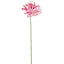 Nerine Lily Stem 61cm Pink