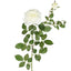Darcey Rose Spray 100cm White - Pack of 12