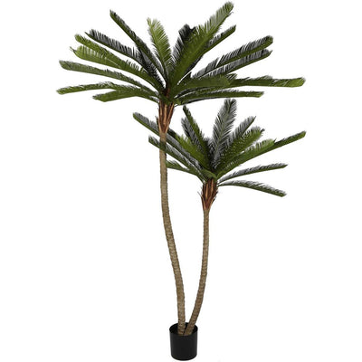 Cycus Palm Tree 220cm