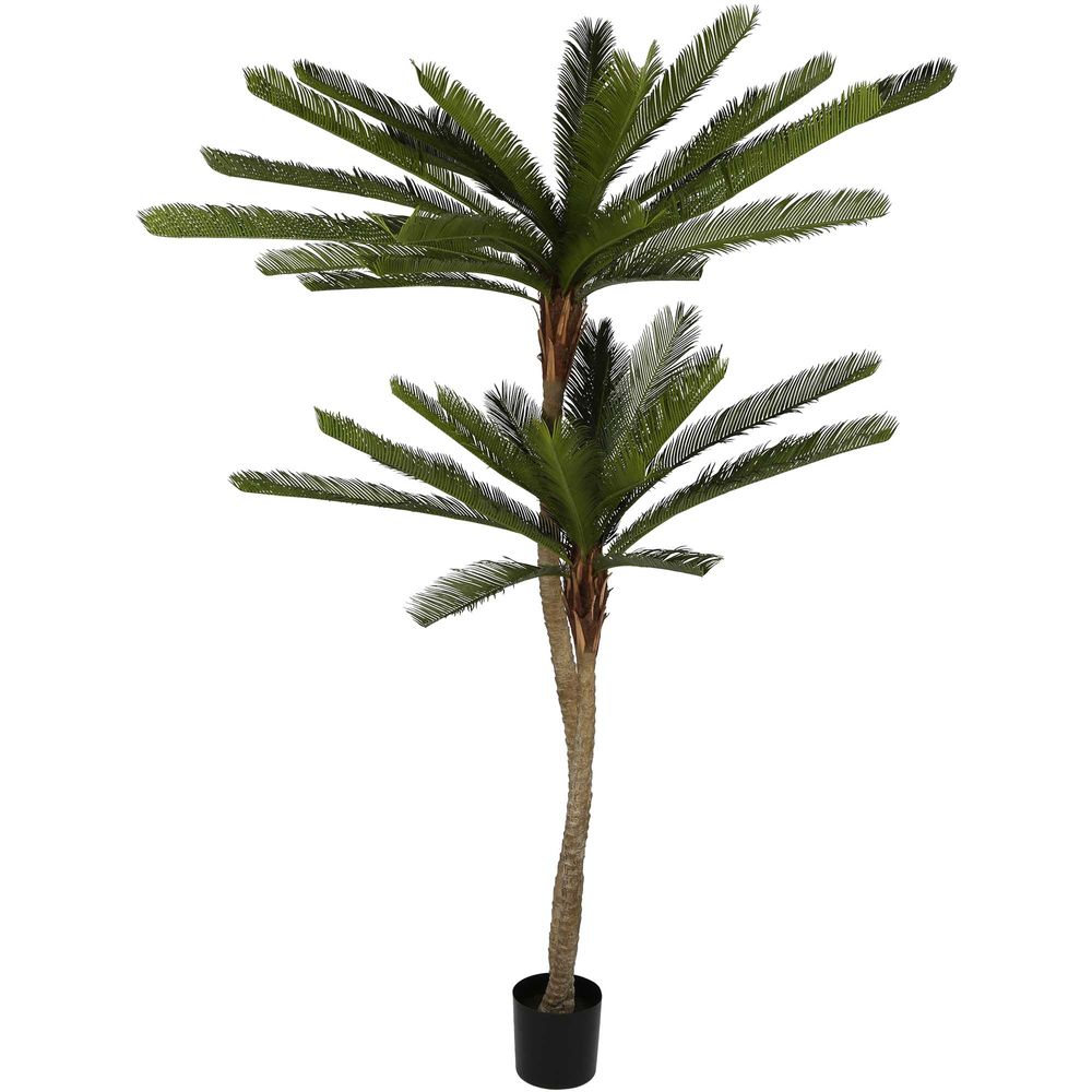 Cycus Palm Tree 220cm