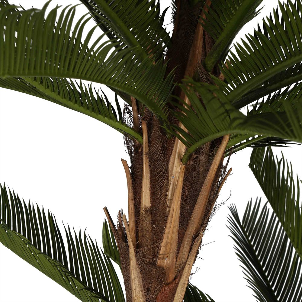 Cycus Palm Tree 220cm