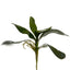 Orchid Leaf Cluster 35cm Green