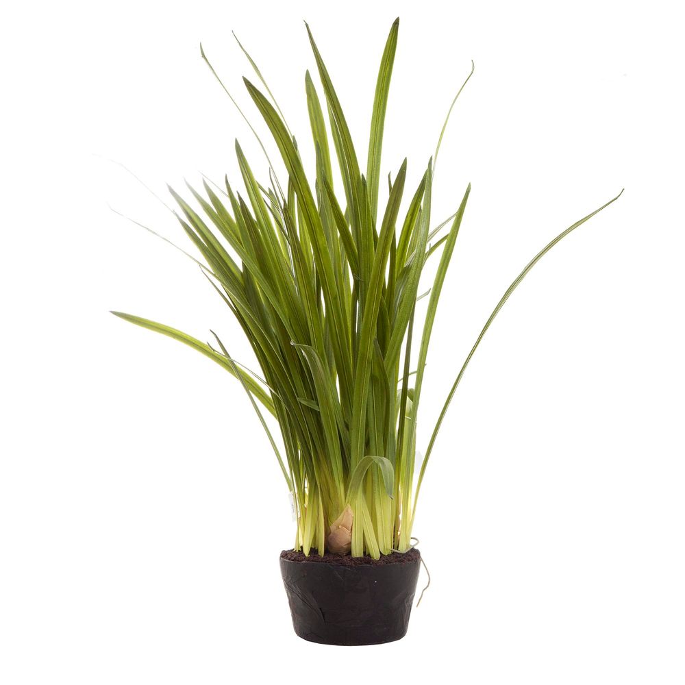 Artificial Cymbidium Leaves in Soil Pot - House of Isabella AU