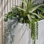 String of Pearls Hanging Bush (Set of 12)