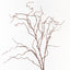 12 x Twig Curly Willow Spray