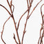 12 x Twig Curly Willow Spray
