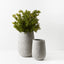 Pot Cenzo Sol (set/2)
