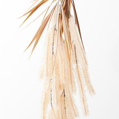 Pampas Grass Hanging Bush Pack of 6