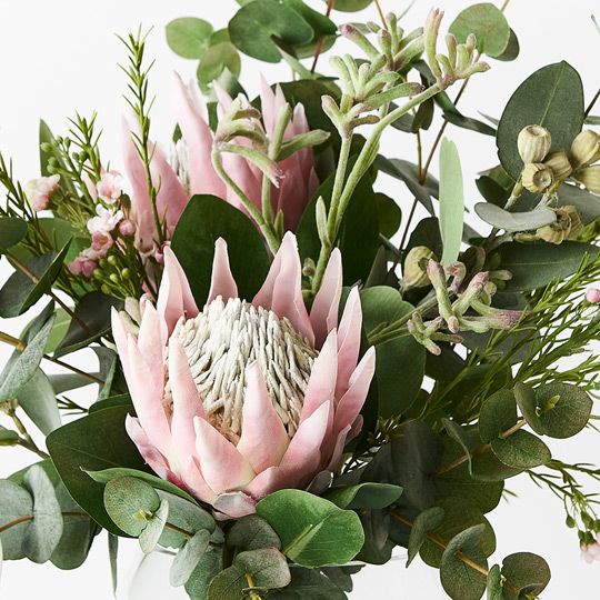 Protea King Mix in Vase Pack of 1