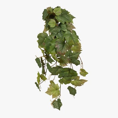 6 x Grape Leaf Hanging Bush