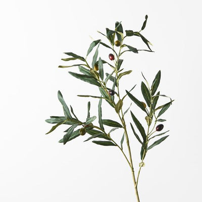 12 x Olive Leaf Spray