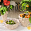 Orange (Set of 12)