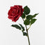 Clara Rose (Set of 12)