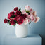 Clara Rose (Set of 12)