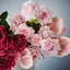 Clara Rose (Set of 12)