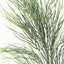 12 x Coral Grass Spray