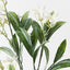 12 x Stephanotis Spray