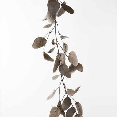 6 x Eucalyptus Silver Dollar Garland