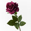 Rose Hannah Pack of 12