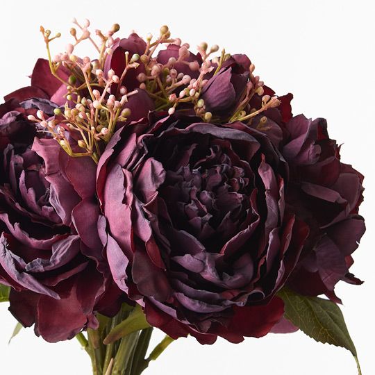 Peony Mix Bouquet Pack of 6