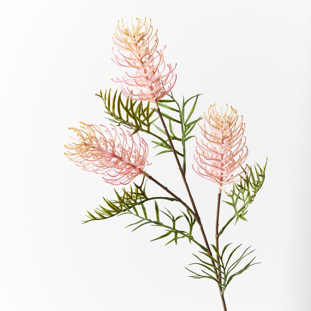 Grevillea Spray Pack of 12