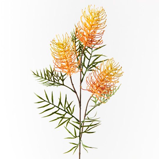 12 x Grevillea Spray