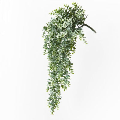 6 x Eucalyptus Hanging Bush