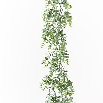 6 x Eucalyptus Garland