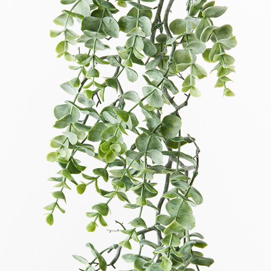 6 x Eucalyptus Garland