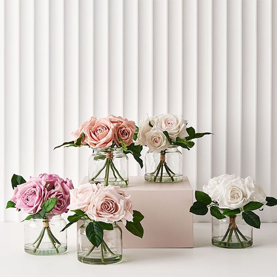 Rose Clara Mix in Vase Pack of 2