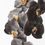 12 x Orchid Phalaenopsis Infused x8