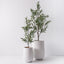 Sol Pot (set/2)