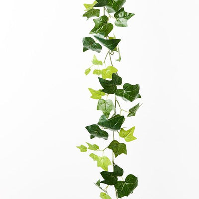 Ivy English Garland Pack of 12