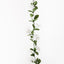 12 x Stephanotis Garland