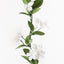 12 x Stephanotis Garland