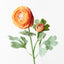 12 x Ranunculus Spray